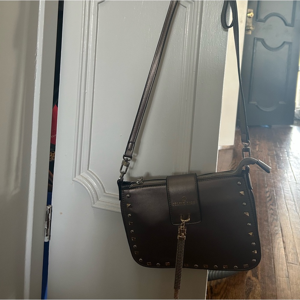 Celine dion purse